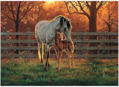 625012450027 Quiet Time:Cobble Hill Puzzle