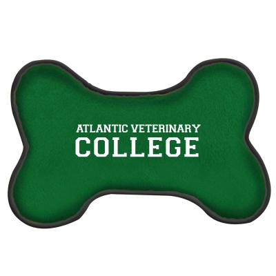 88800010174 Avc Bone Squeak Toy